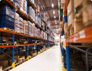 Wholesale & Distribution