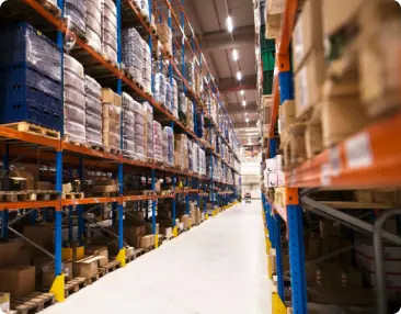 Wholesale & Distribution