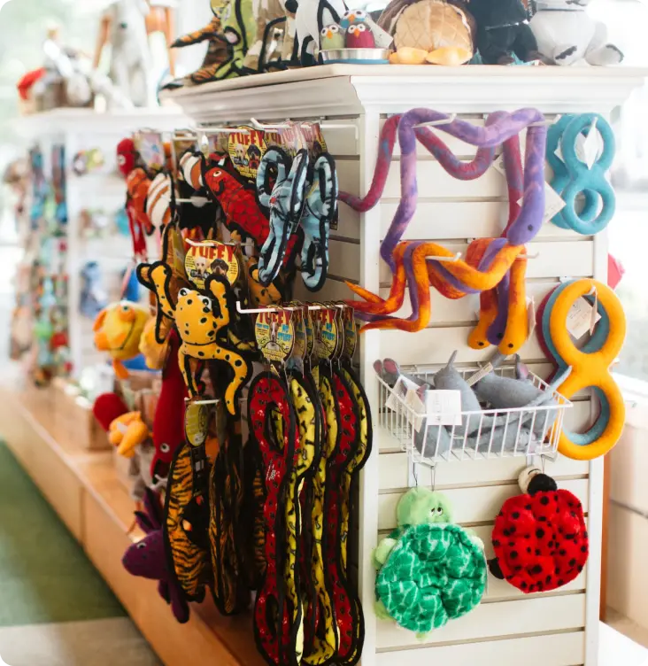 Pet Supplies and Accessories