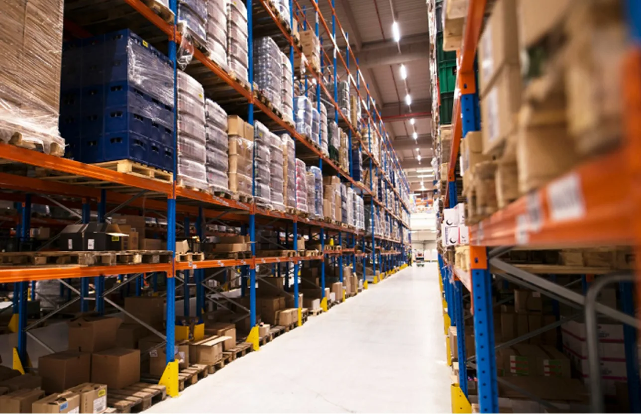 Wholesale & Distribution