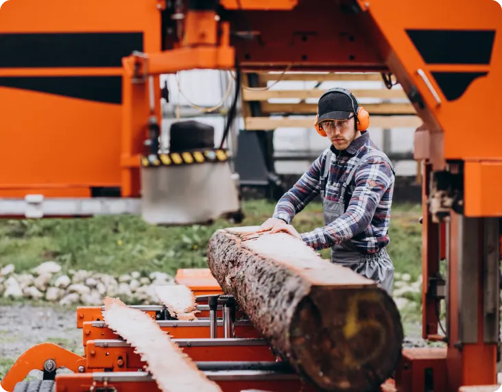 Timber and Wood Processing