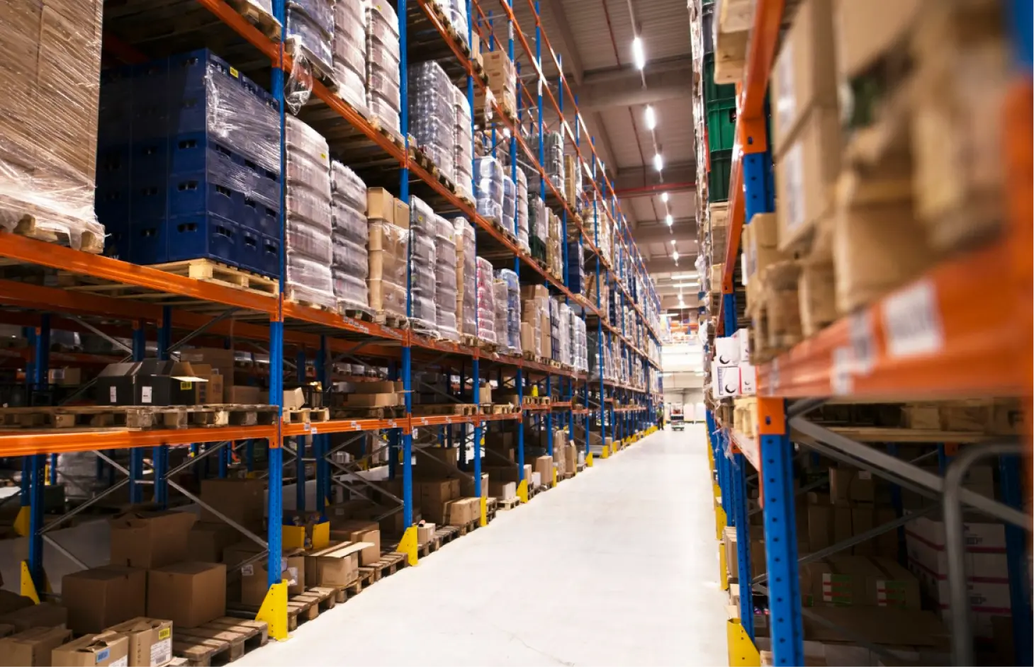 Wholesales & Distribution