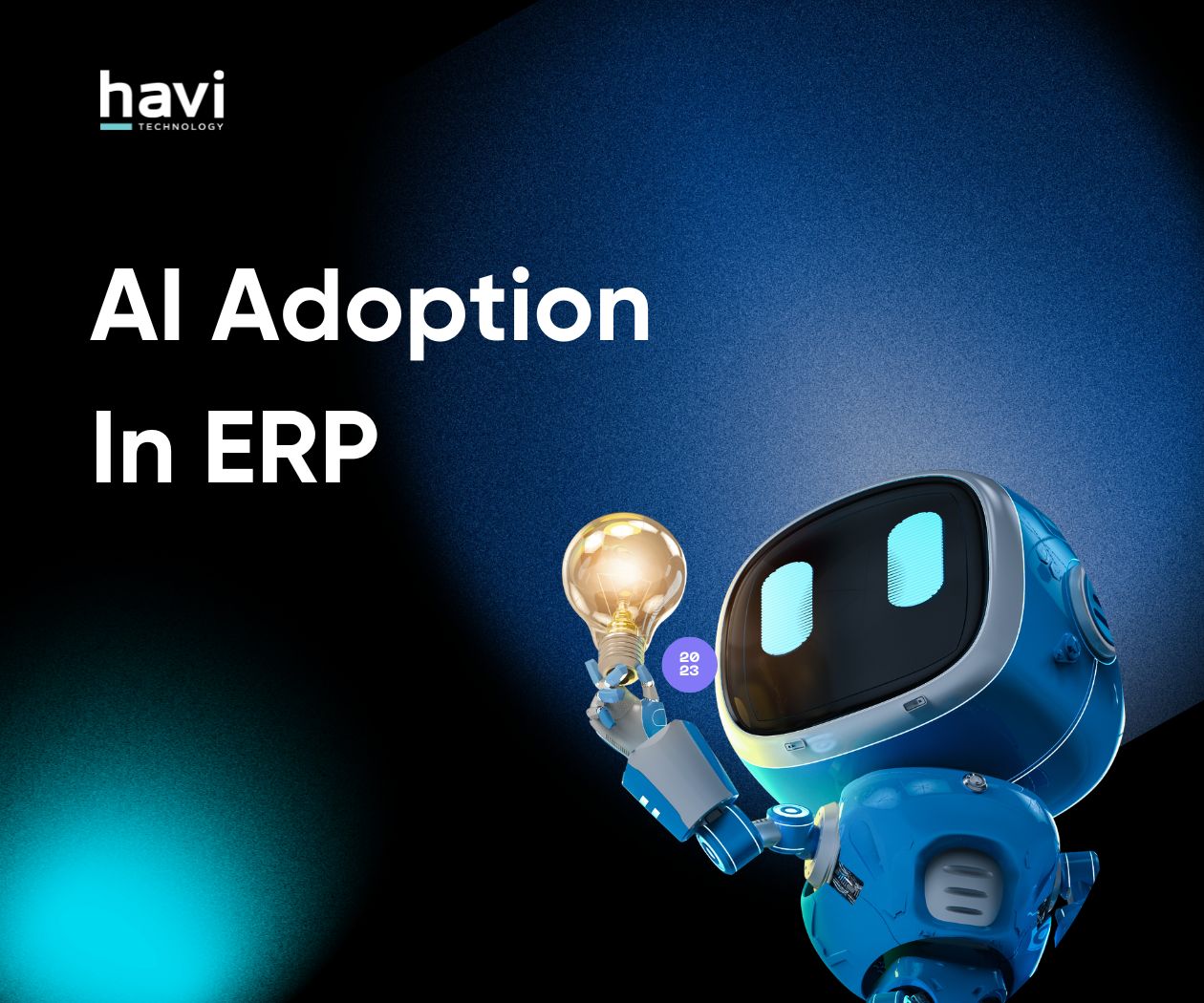 erp ai Havi Technology Pty Ltd