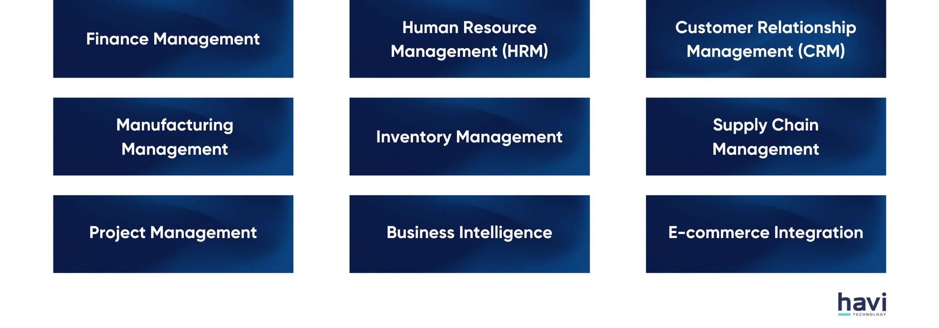 erp solutions company Havi Technology Pty Ltd