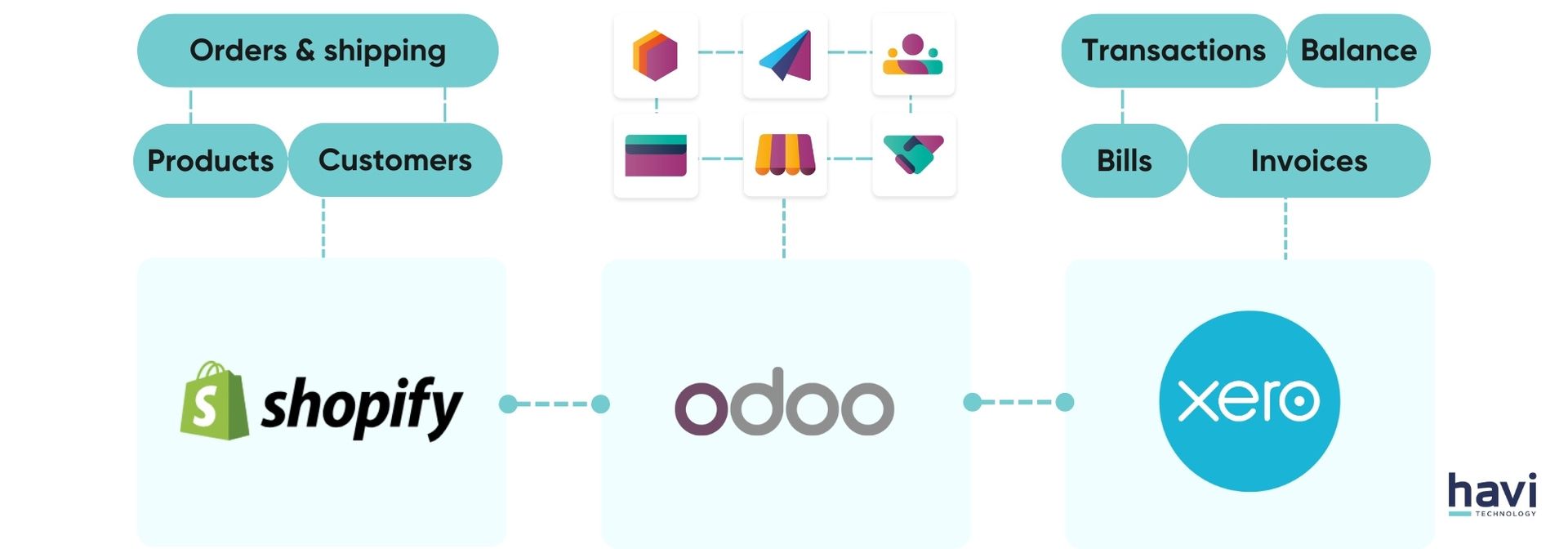 odoo shopify connector Havi Technology Pty Ltd