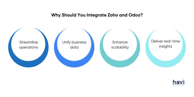 odoo vs zoho havi technology pty ltd