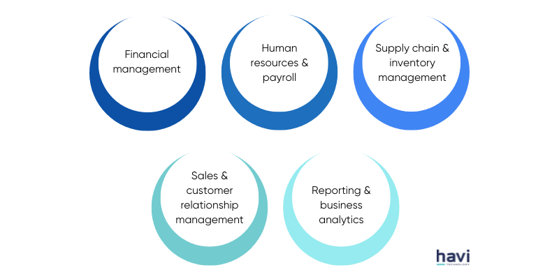 integrated business processes with erp systems havi technology pty ltd