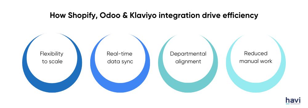 odoo klaviyo integration Havi Technology Pty Ltd