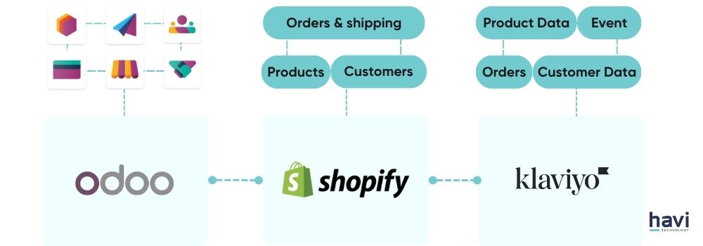 odoo shopify Havi Technology Pty Ltd