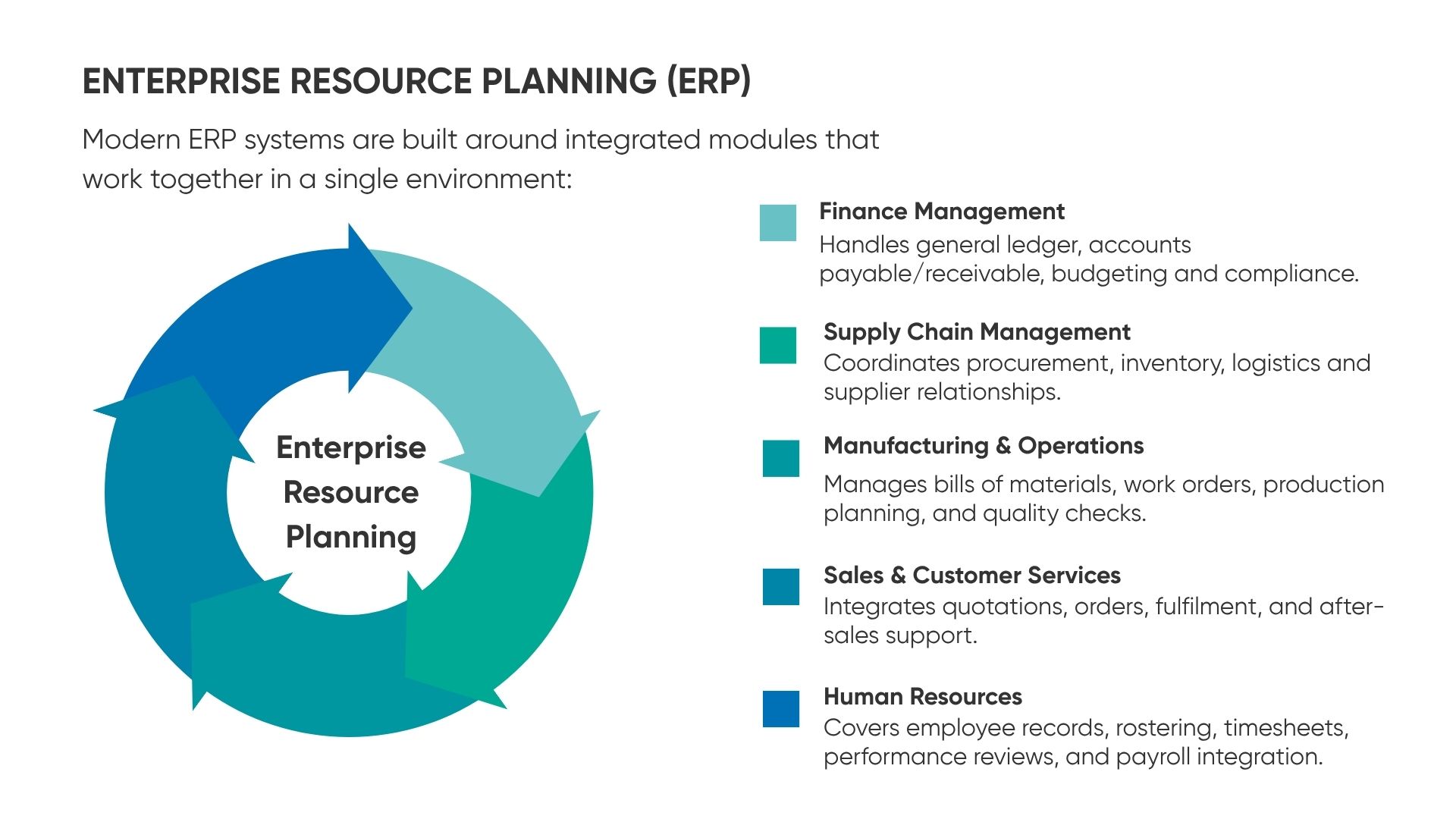 erp business intelligence Havi Technology Pty Ltd