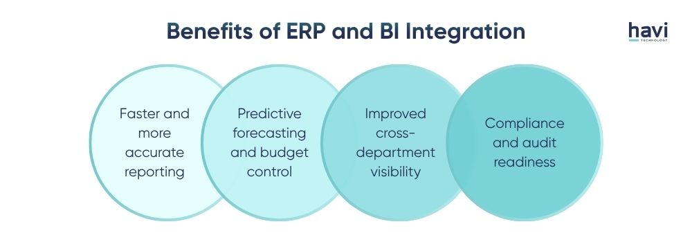 erp power bi Havi Technology Pty Ltd