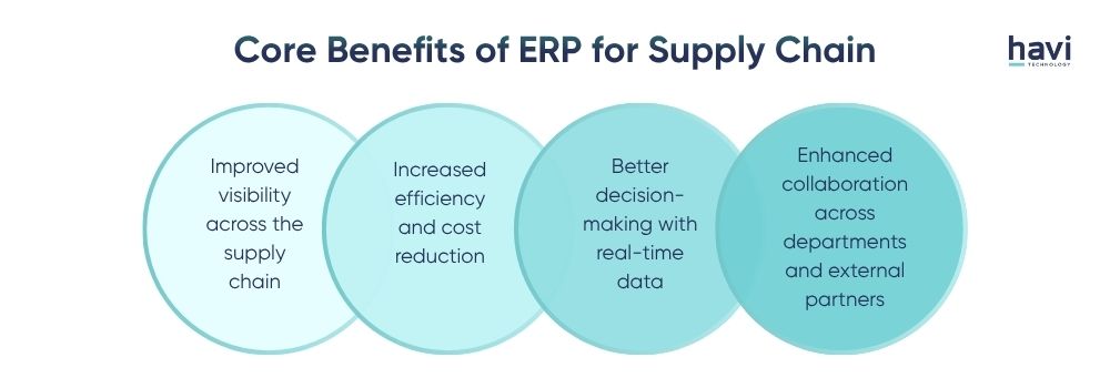 erp in supply chain management Havi Technology Pty Ltd