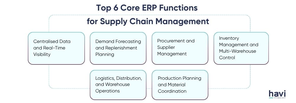 supply chain erp systems Havi Technology Pty Ltd
