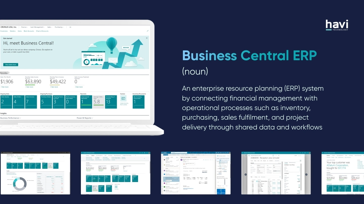 erp business central Havi Technology Pty Ltd