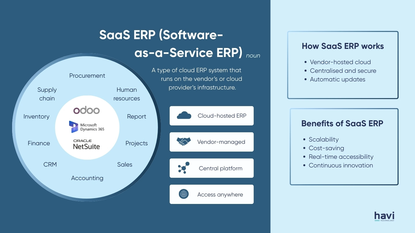 saas erp solutions Havi Technology Pty Ltd