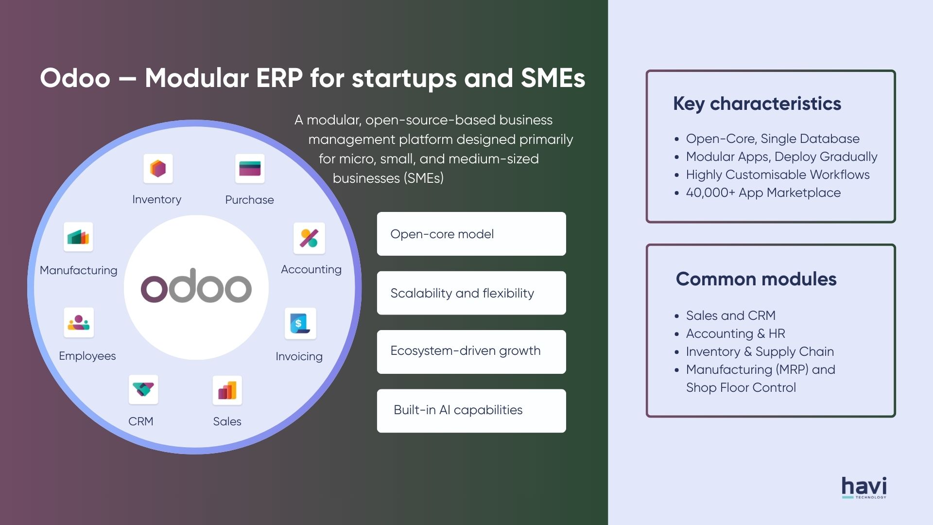 odoo erp Havi Technology Pty Ltd