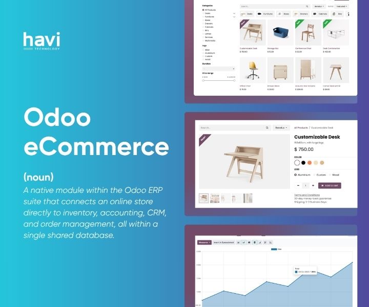 odoo ecommerce Havi Technology Pty Ltd