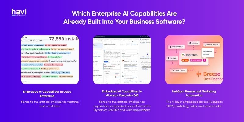 enterprise ai applications Havi Technology Pty Ltd
