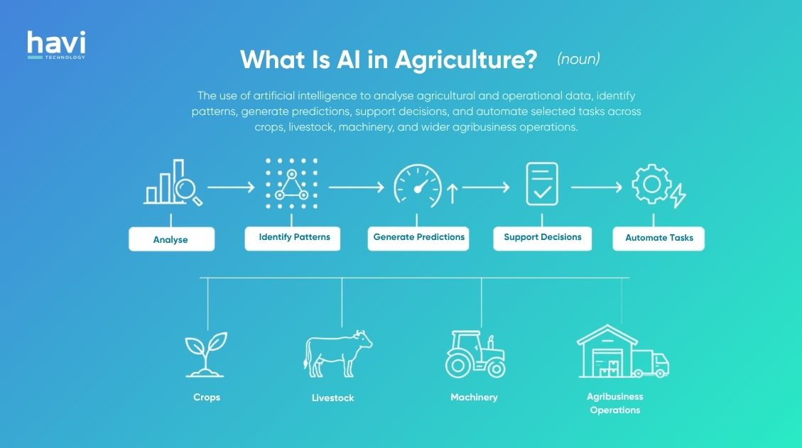 artificial intelligence in agriculture Havi Technology Pty Ltd