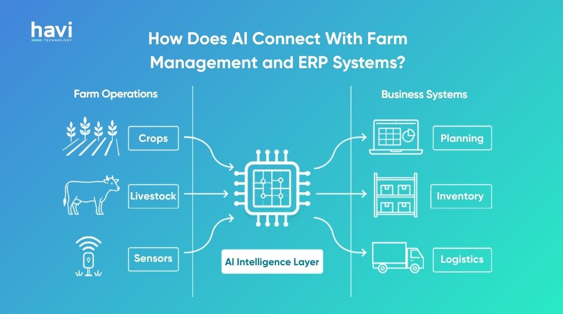 machine learning in agriculture Havi Technology Pty Ltd